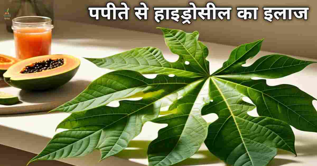 Benefits of Papaya पपीते से हाइड्रोसील का इलाज
