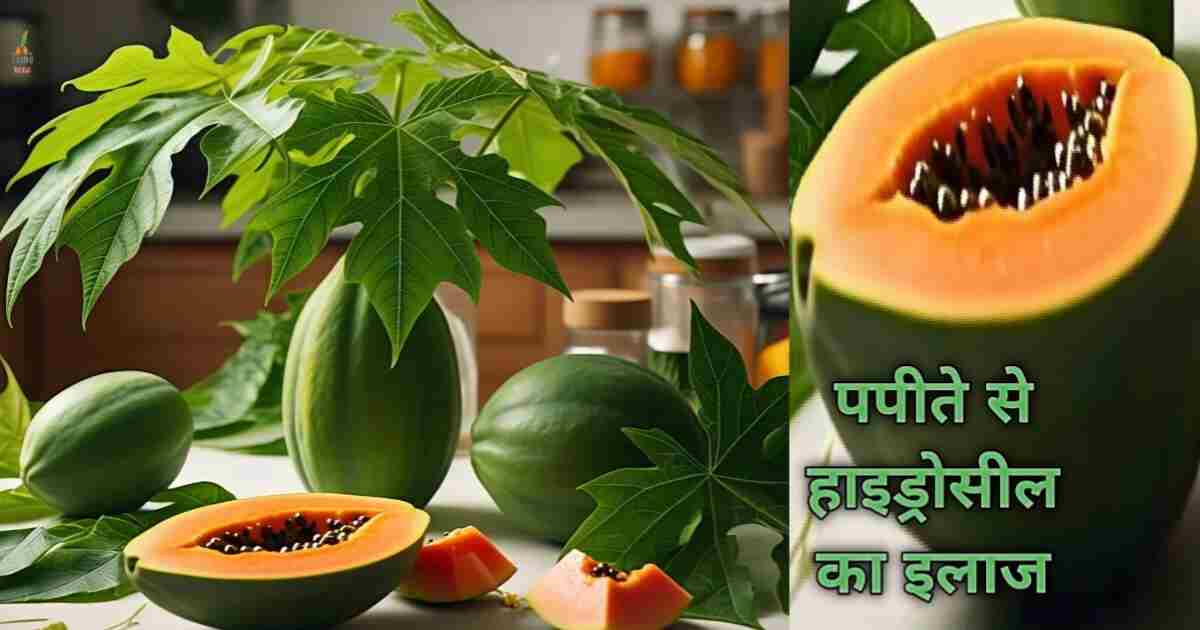 Benefits of Papaya पपीते से हाइड्रोसील का इलाज