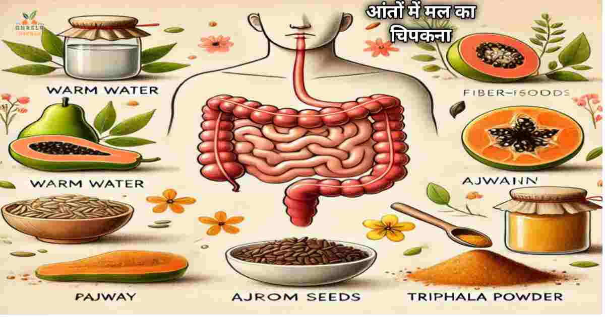 आंतों में मल का चिपकना जानें 5 लक्षण, कारण और असरदार इलाज