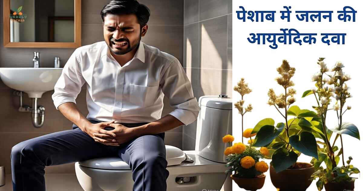 पेशाब में जलन की आयुर्वेदिक दवा – 11 असरदार देसी उपाय और घरेलू इलाज