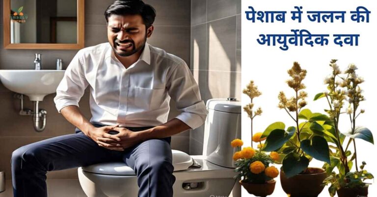 पेशाब में जलन की आयुर्वेदिक दवा – 11 असरदार देसी उपाय और घरेलू इलाज