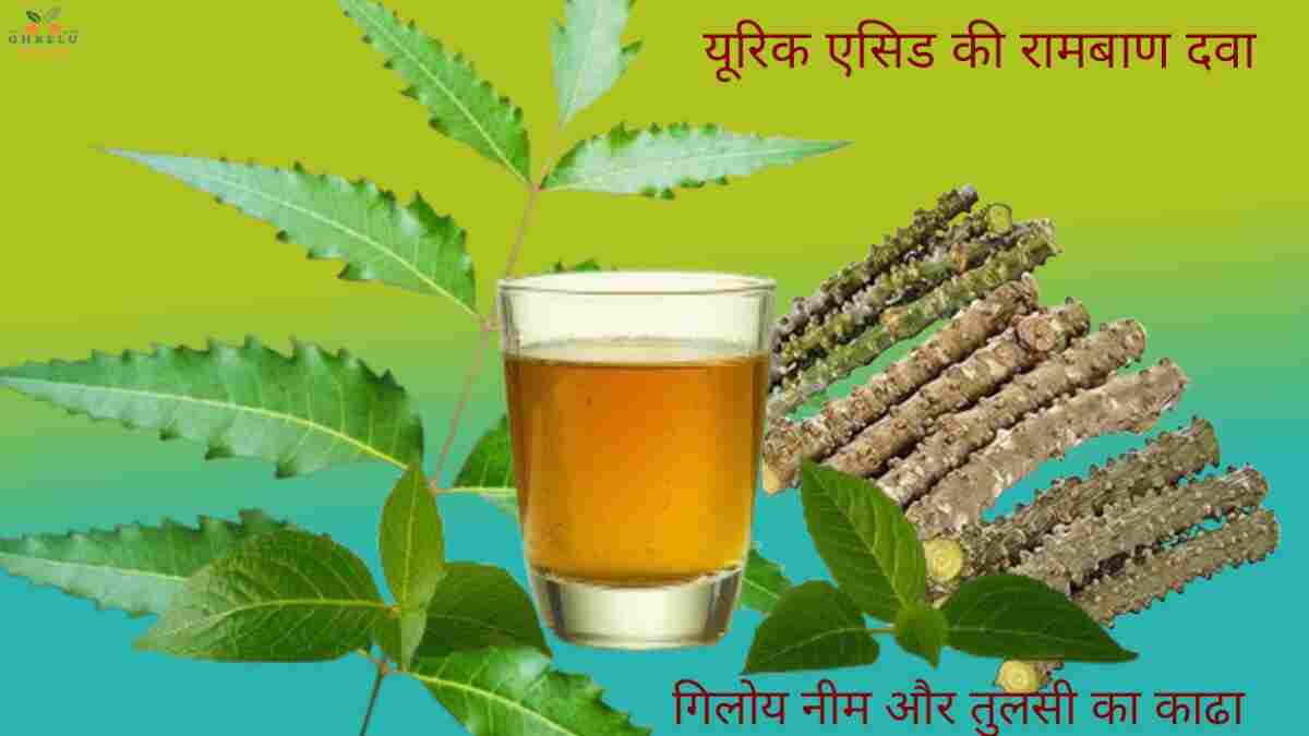 यूरिक एसिड की रामबाण दवा घर पर यूरिक एसिड कम करने के पक्के उपाय यूरिक एसिड की रामबाण दवा घर पर यूरिक एसिड कम करने के पक्के उपाय