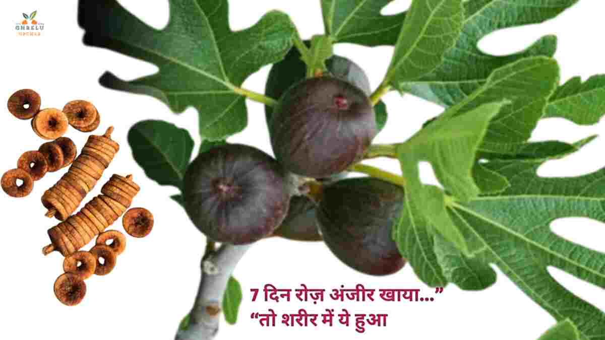 7 दिन रोज़ अंजीर खाया तो दिखे ये 10 जबरदस्त फायदे