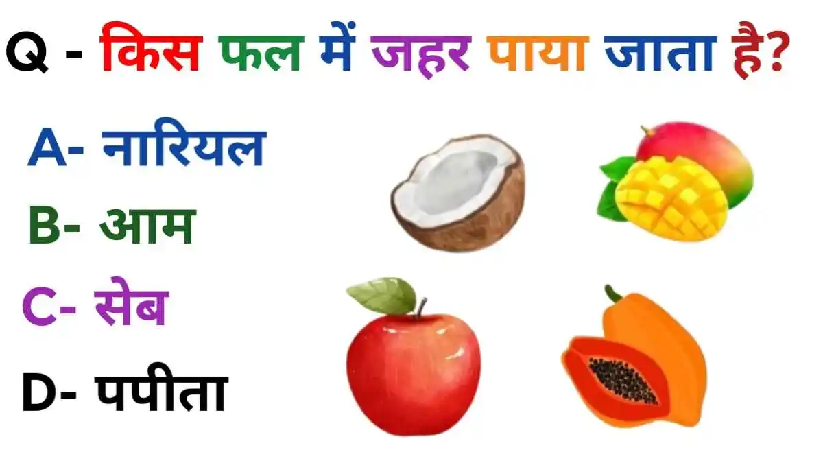 GK Health Quiz in Hindi: किस फल में ज़हर पाया जाता है?
