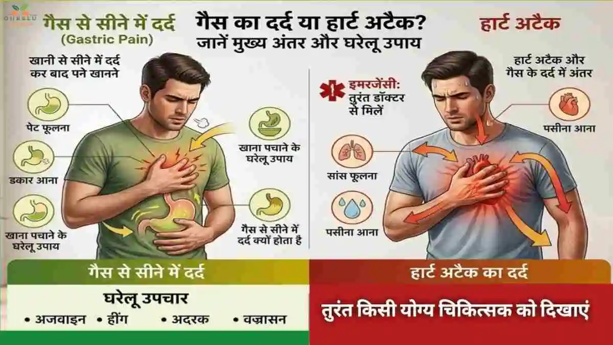 हार्ट अटैक और गैस के दर्द में अंतर: सीने में दर्द को न करें नजरअंदाज