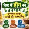 पेट के गैस में हींग का उपयोग: पारंपरिक तरीका, फायदे और सावधानियां